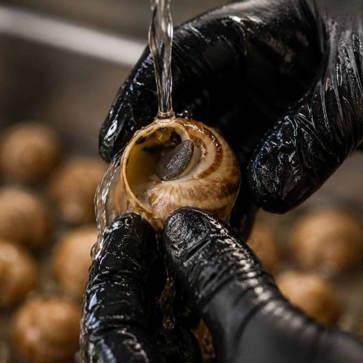 Perle d&#8217;Hélix : vos escargots vivants pour la cargolade à Perpignan