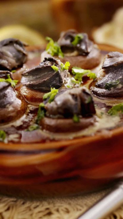 Perle d&#8217;Hélix : vos escargots vivants pour la cargolade à Perpignan